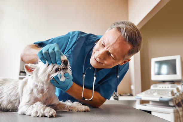  North Tustin, CA Emergency Dentist Pros