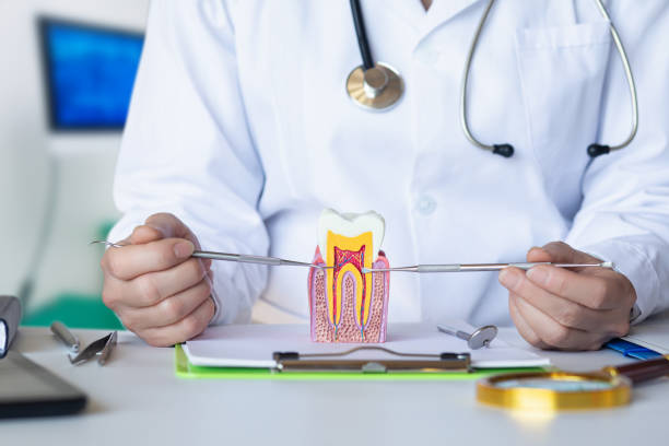 Best Emergency Dentist for Knocked-Out Tooth in North Tustin, CA